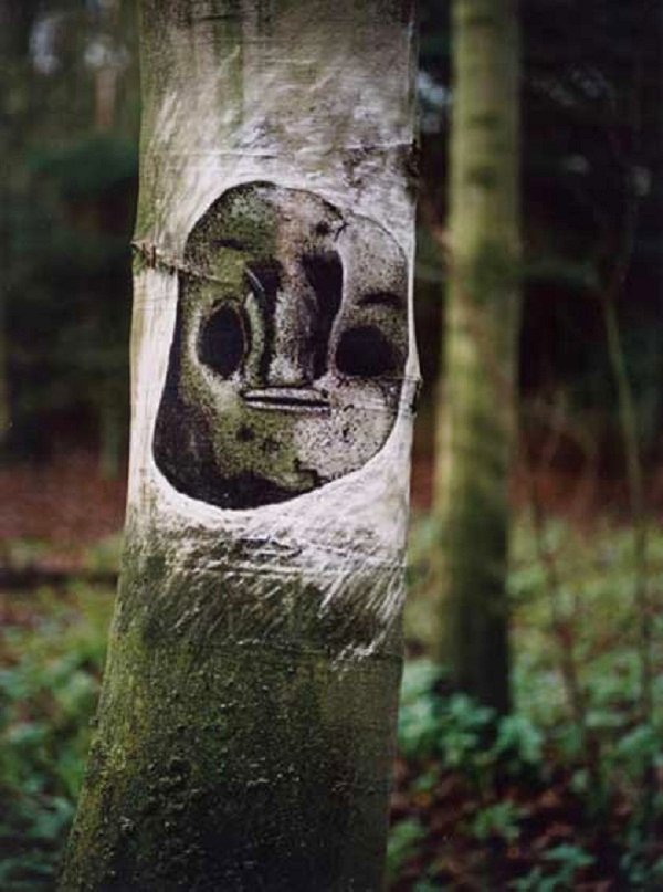 eco nature art